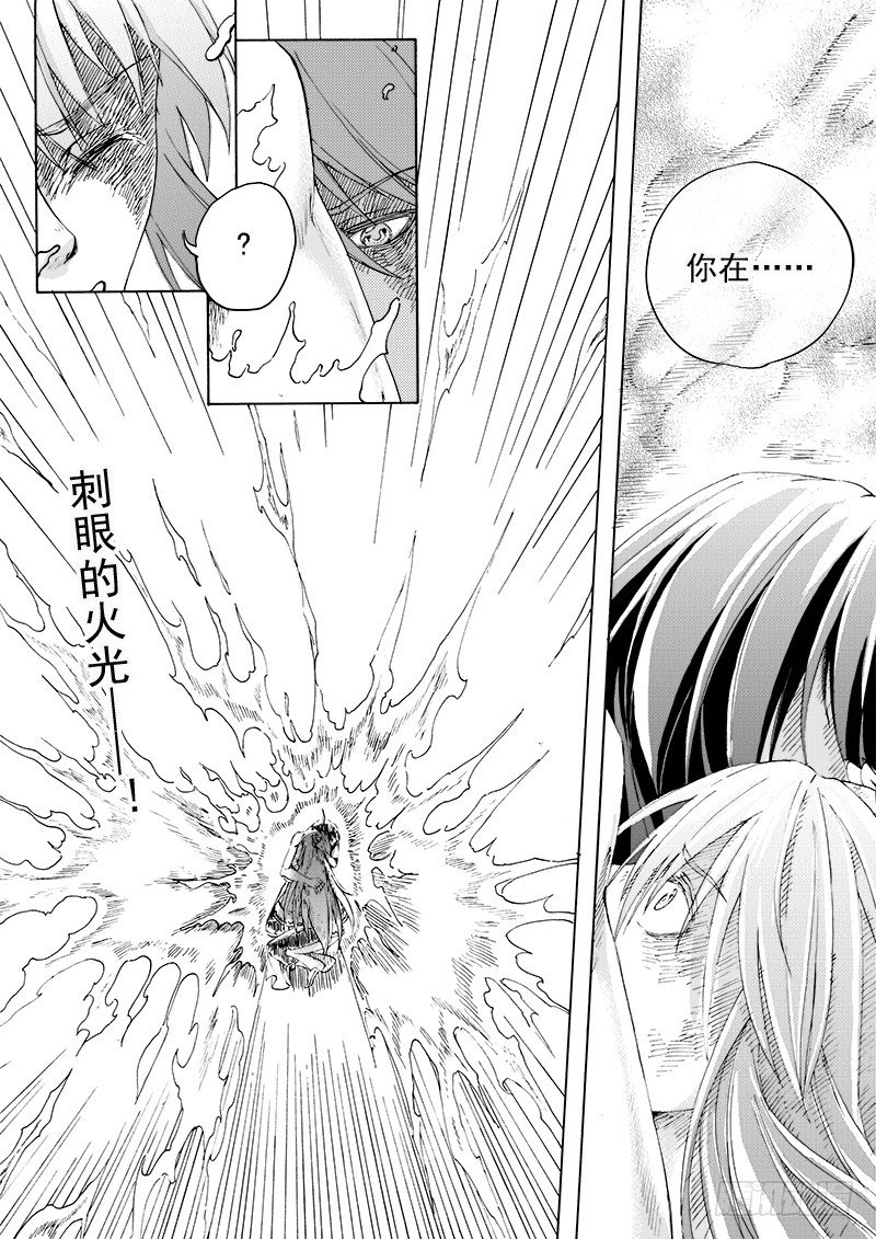 第十七话&middot;凤凰之火&middot;下-第38话