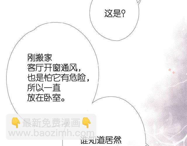 番外 壶壶(1/2)-第8话
