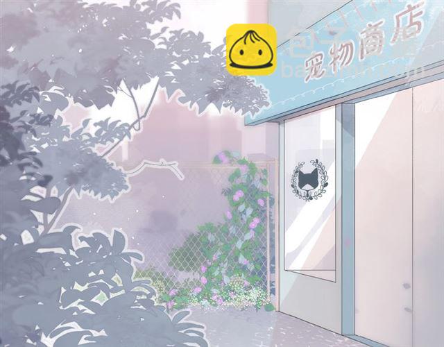 番外 壶壶(1/2)-第8话