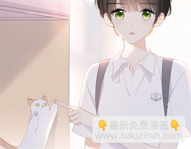番外 壶壶(1/2)-第8话