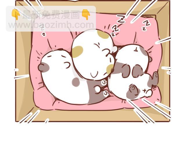 第49话 妈妈的决定！(1/2)-第48话