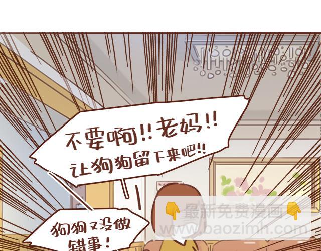 第49话 妈妈的决定！(1/2)-第48话