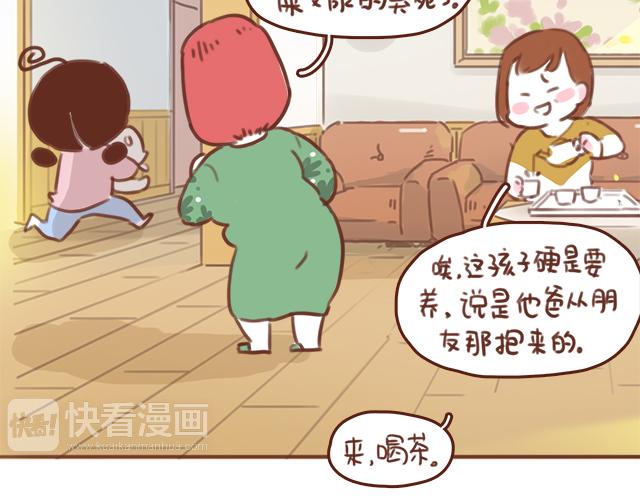 第53话 家长里短(1/2)-第52话