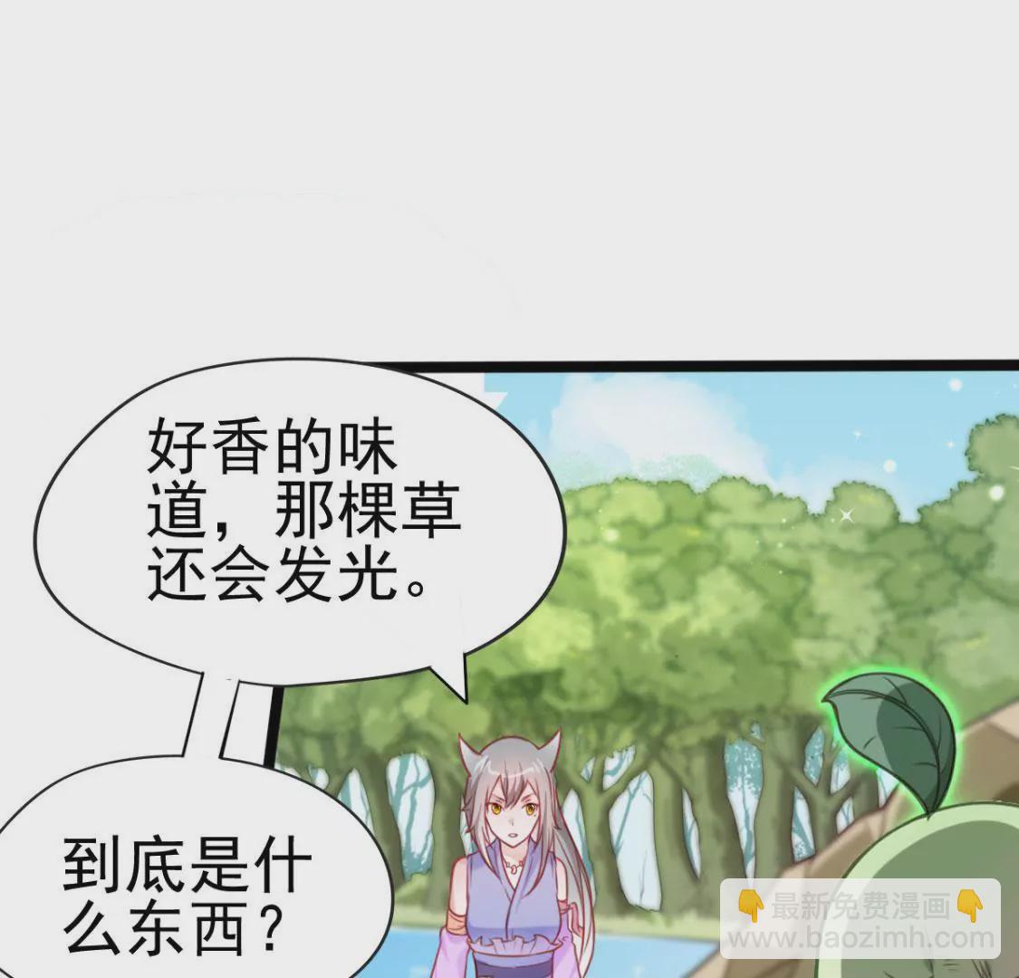 🍲在玄幻世界变成了一棵草？ 第001话 我变成了草？ 第24页