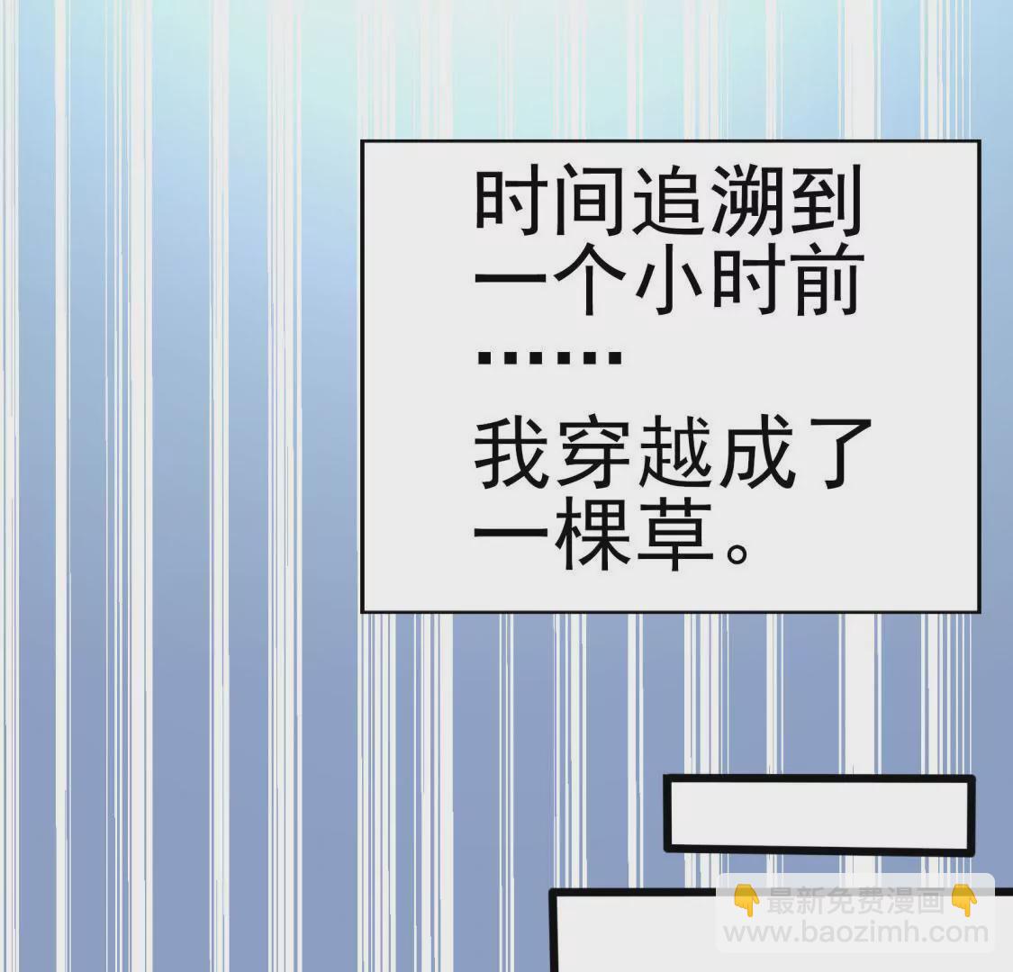 🍲在玄幻世界变成了一棵草？ 第001话 我变成了草？ 第6页
