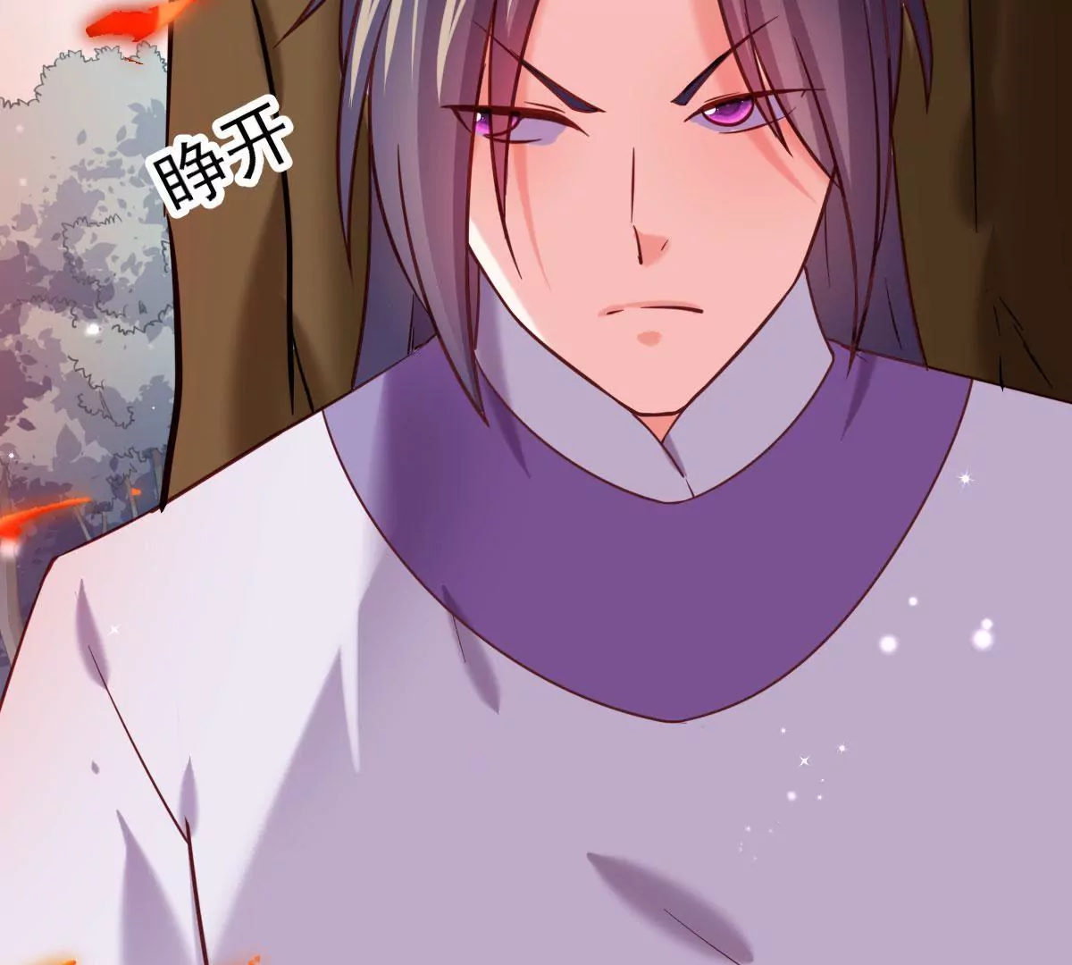 🍲在玄幻世界变成了一棵草？ 第019话 凤凰涅槃 第41页