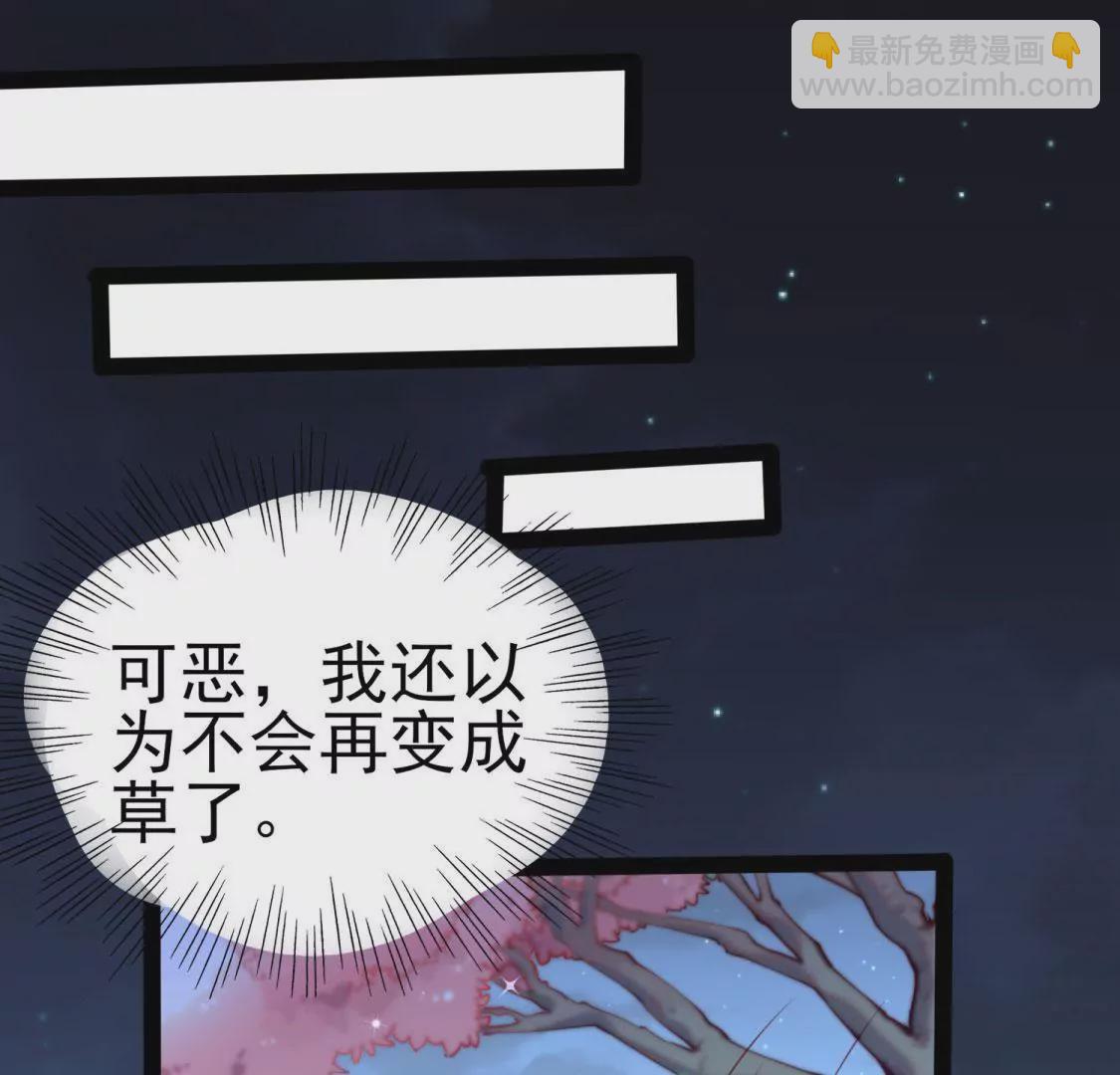 🍲在玄幻世界变成了一棵草？ 第003话 你是个草精 第13页
