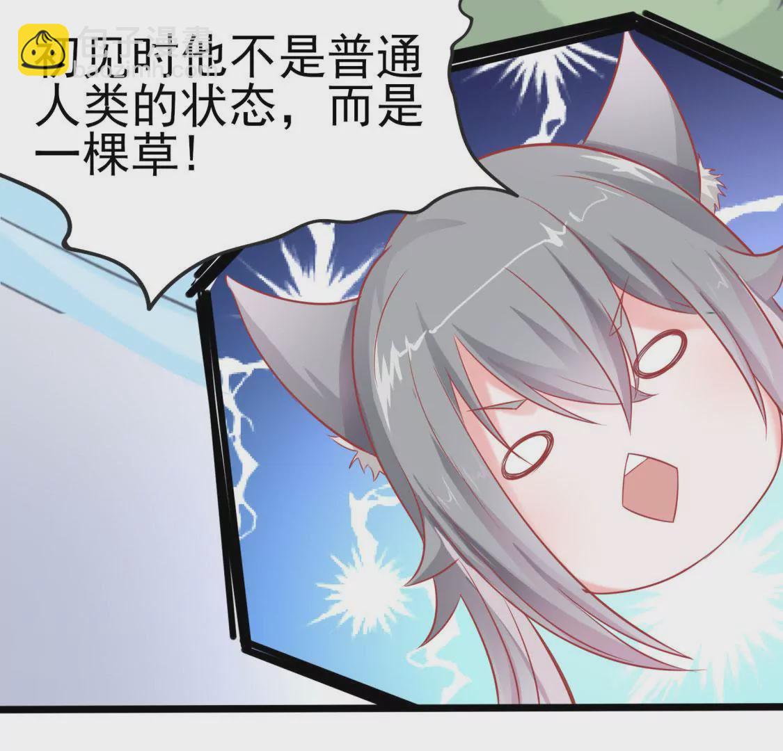 🍲在玄幻世界变成了一棵草？ 第003话 你是个草精 第31页