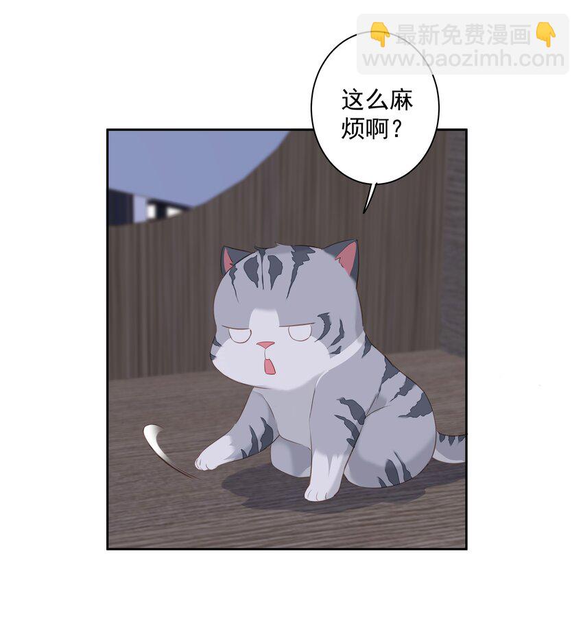 038 好一张思春的脸-第36话
