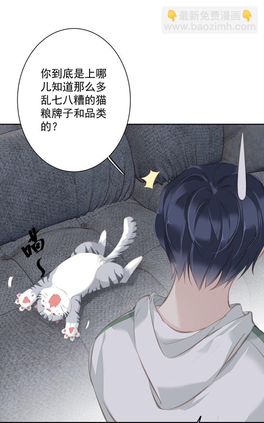 044 众筹猫粮-第42话