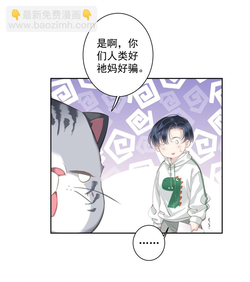 044 众筹猫粮-第42话