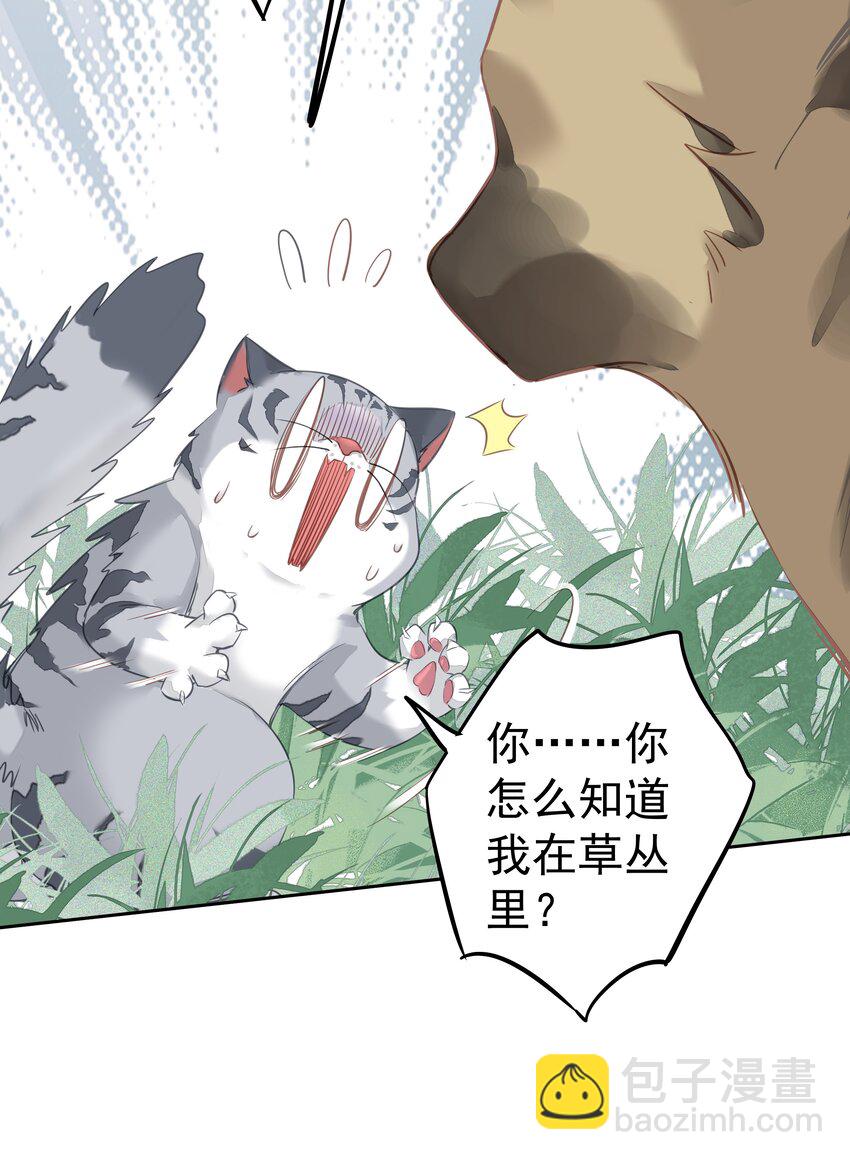 046 你老公是伯爵啊-第44话