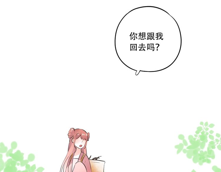 番外  做你的猫(1/3)-第60话