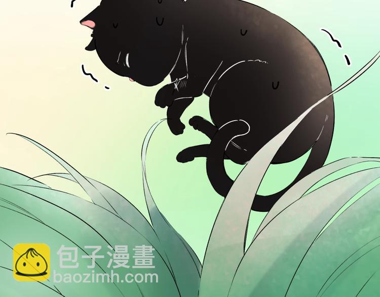 番外  做你的猫(1/3)-第60话
