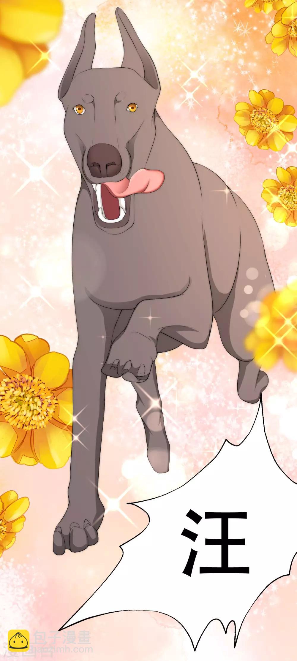 第244话 虐渣姐妹又要登场了！-第266话