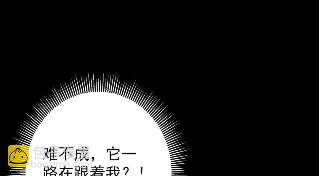 🍲掌门低调点 242 万一是美人塔主呢？ 第26页