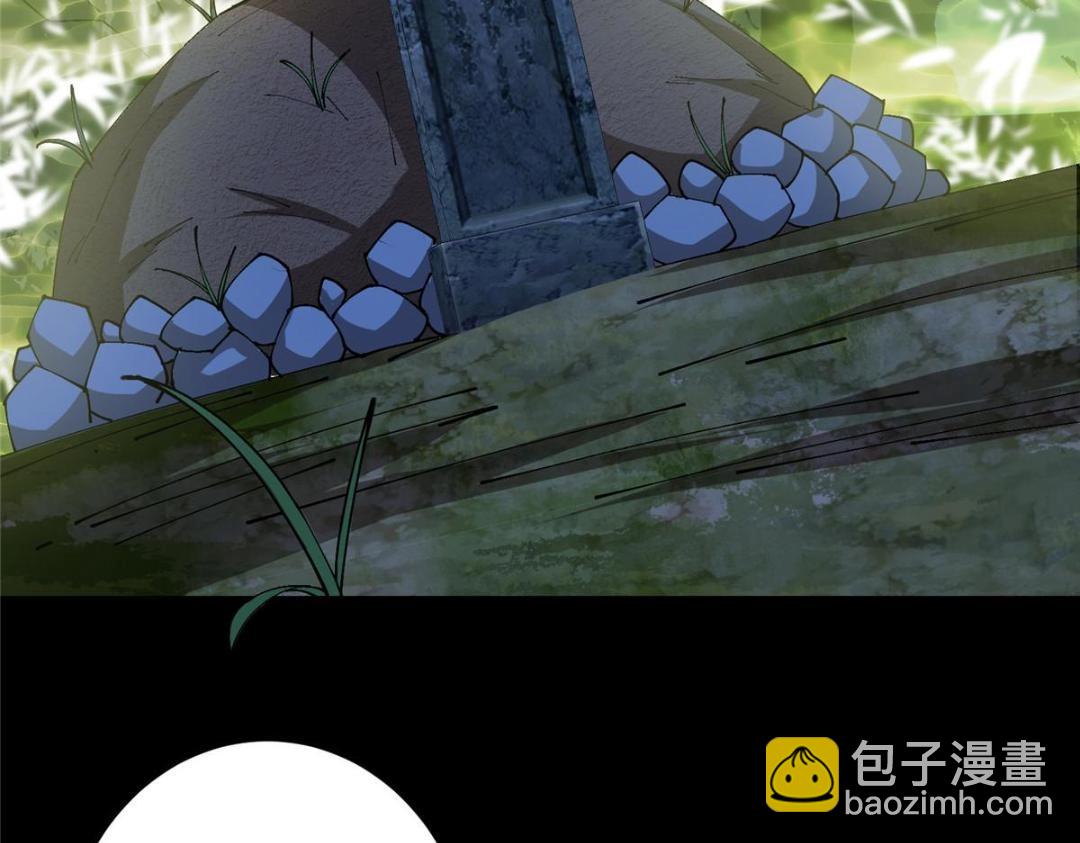 🍲掌门低调点 256 他留给他的 第11页