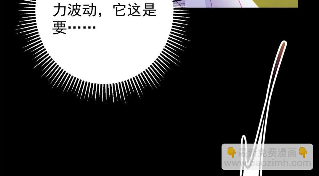 🍲掌门低调点 256 他留给他的 第28页