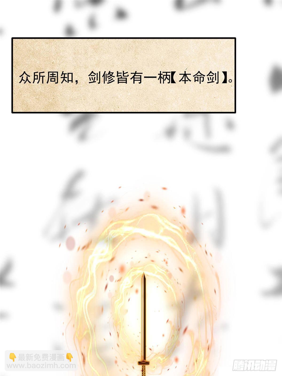 🍲掌门低调点 392 本命剑之于剑修 第5页