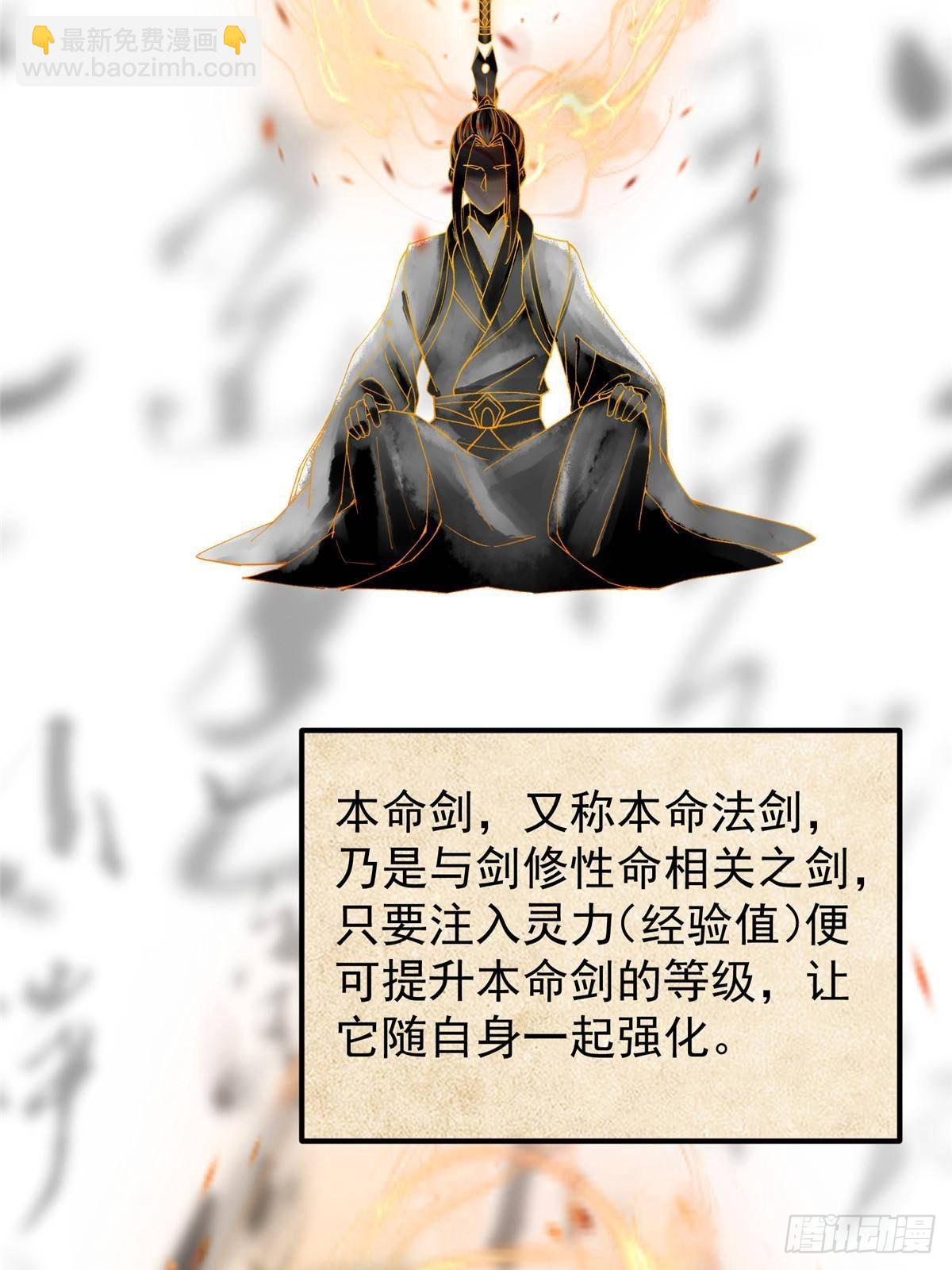 🍲掌门低调点 392 本命剑之于剑修 第6页