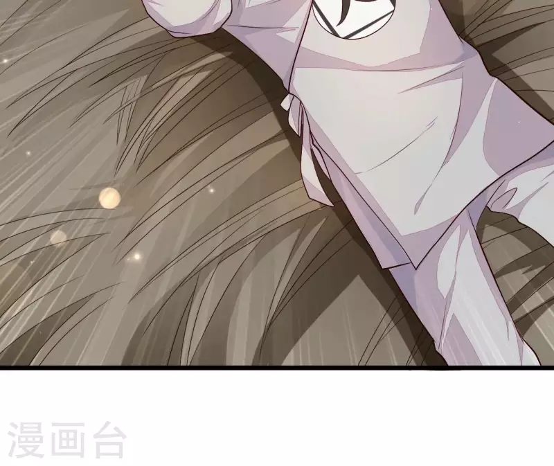 第102话 苏英杰之死(1/2)-第102话