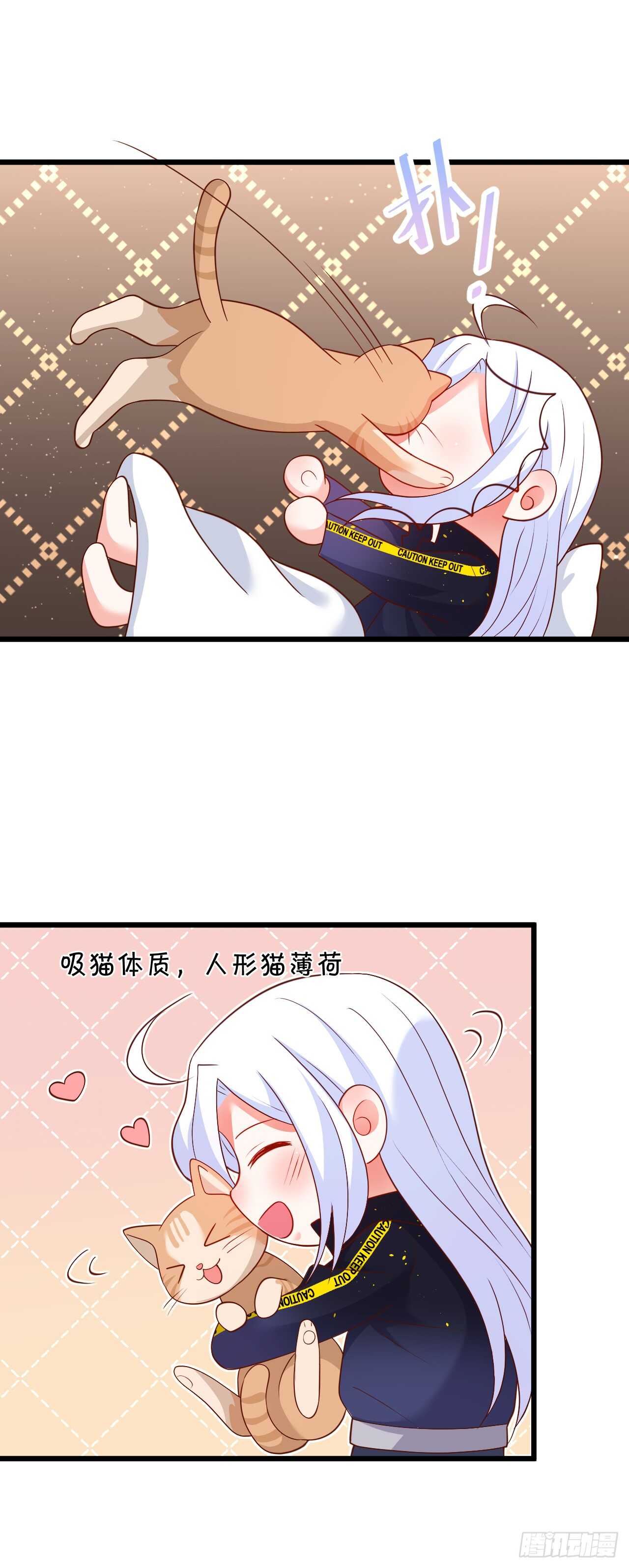 我到底谁是？！(1/2)-第206话