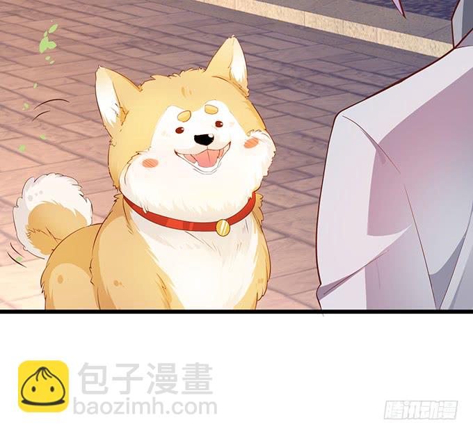 深夜的暧昧夺宝~(1/2)-第42话