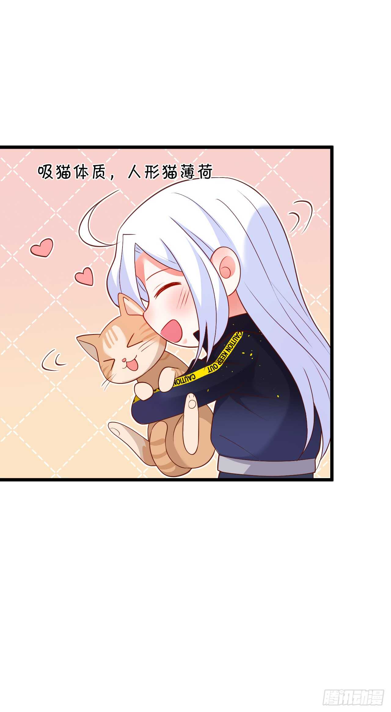 小猫咪，发现你了~-第100话