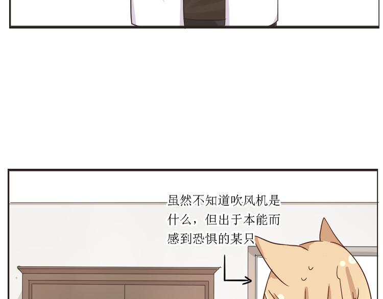 第4话 狐仙的命根子不能乱摸(1/2)-第4话