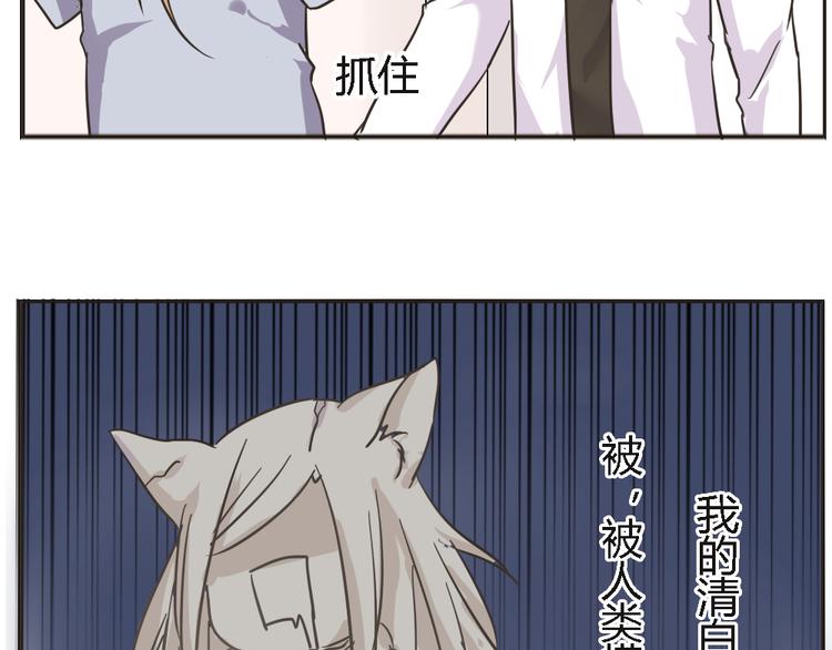 第4话 狐仙的命根子不能乱摸(1/2)-第4话