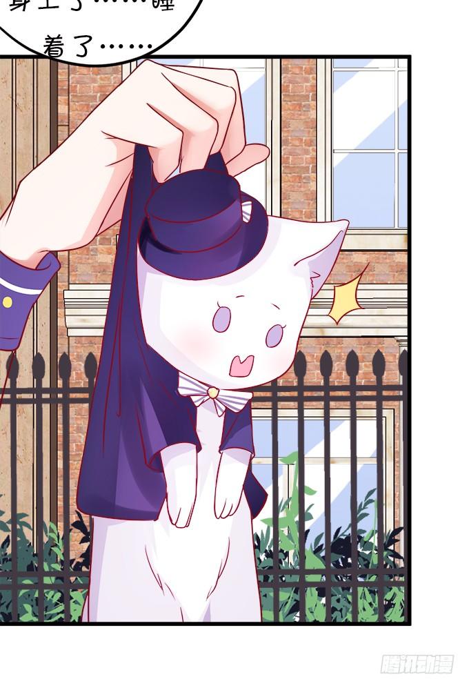 罚你摸摸我的尾巴~(1/2)-第14话