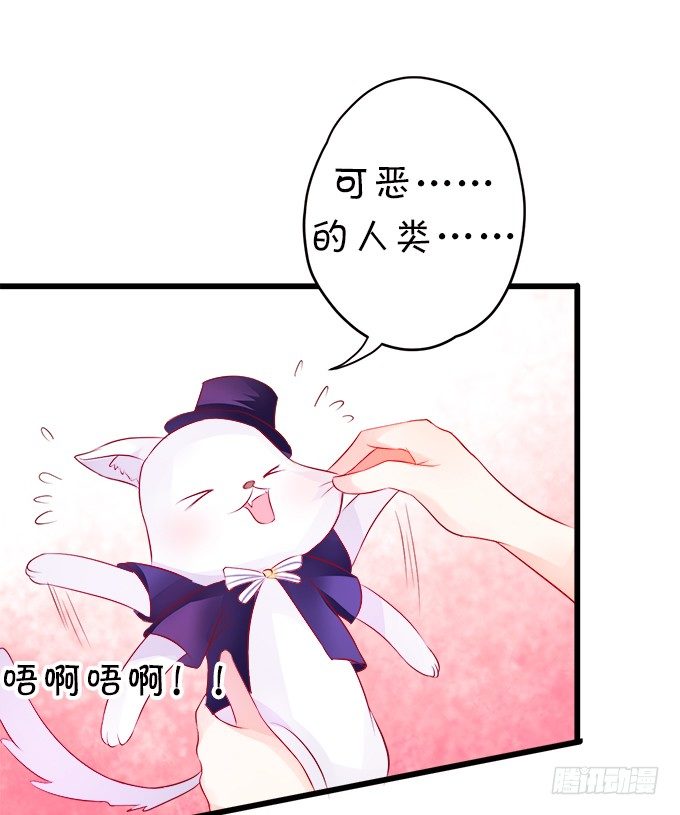 罚你摸摸我的尾巴~(1/2)-第14话
