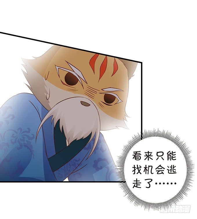 离修霸气抢亲！(1/2)-第62话