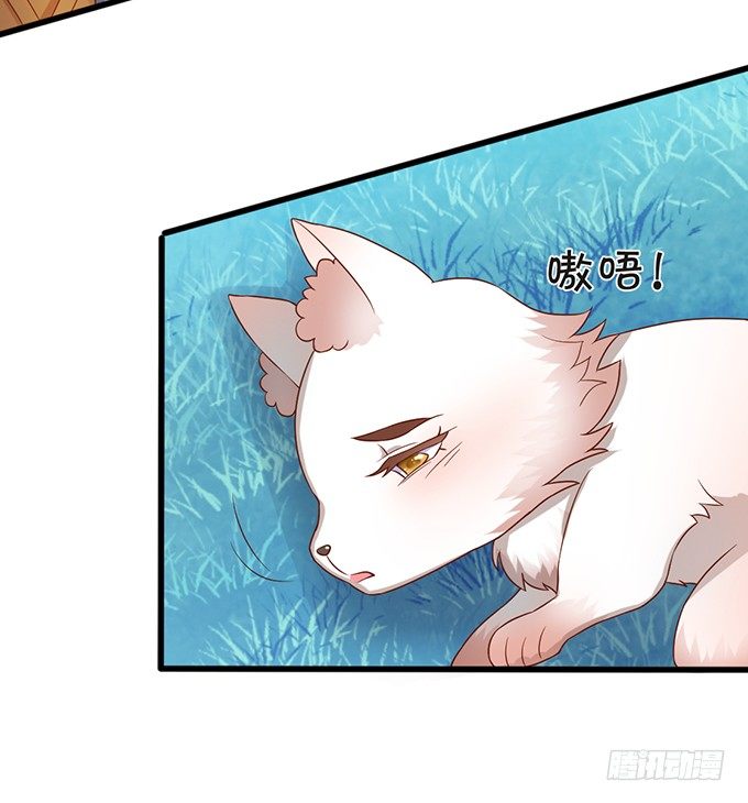 人生若只如初见(1/2)-第64话