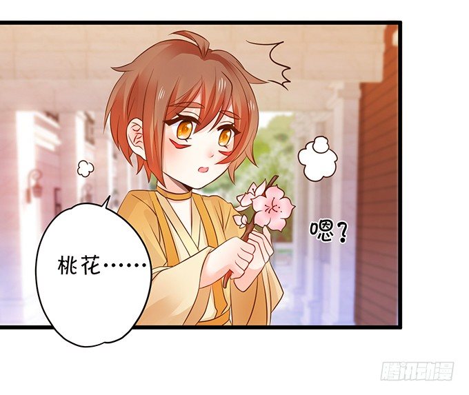捡到一只小狐狸~(1/2)-第66话