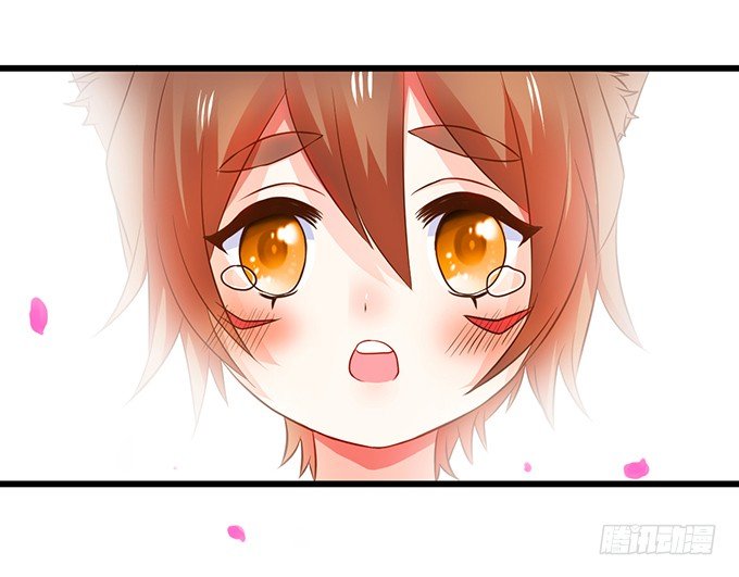 捡到一只小狐狸~(1/2)-第66话