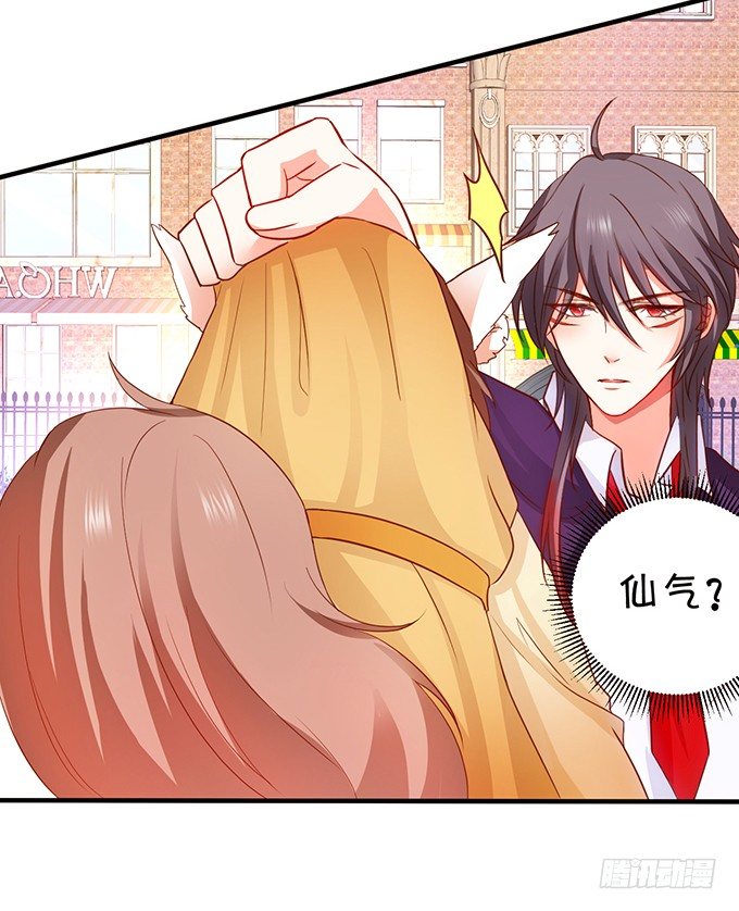 捡到一只小狐狸~(1/2)-第66话