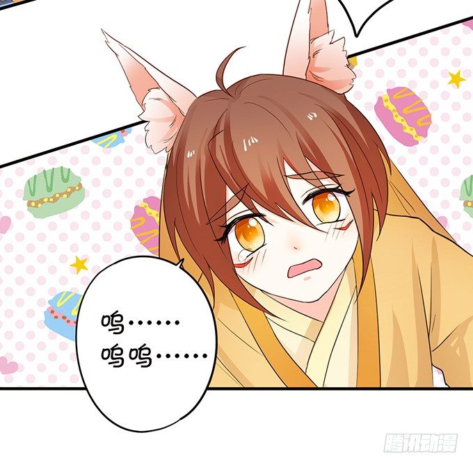 捡到一只小狐狸~(1/2)-第66话