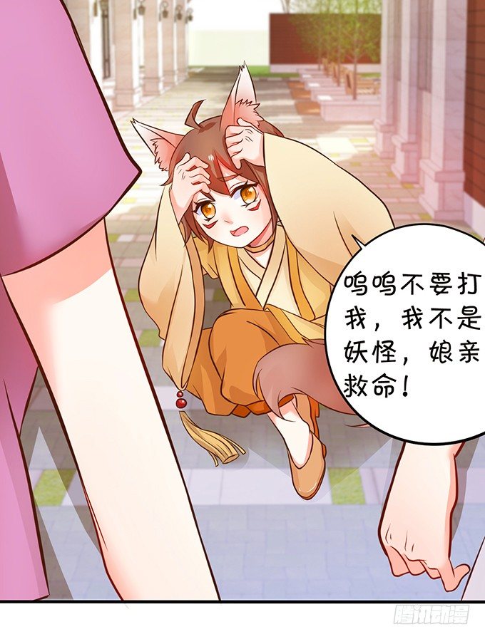 捡到一只小狐狸~(1/2)-第66话
