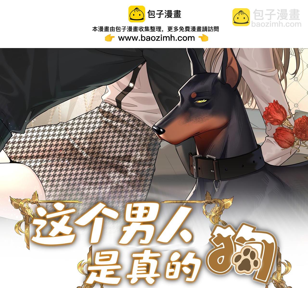 第42话 她带回一条狗？(1/4)-第42话