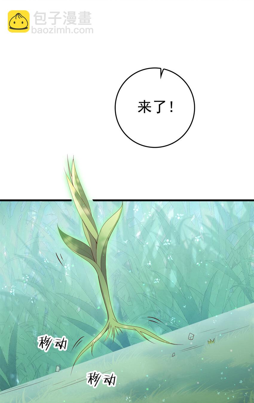 050 月溪谷仙草-第52话