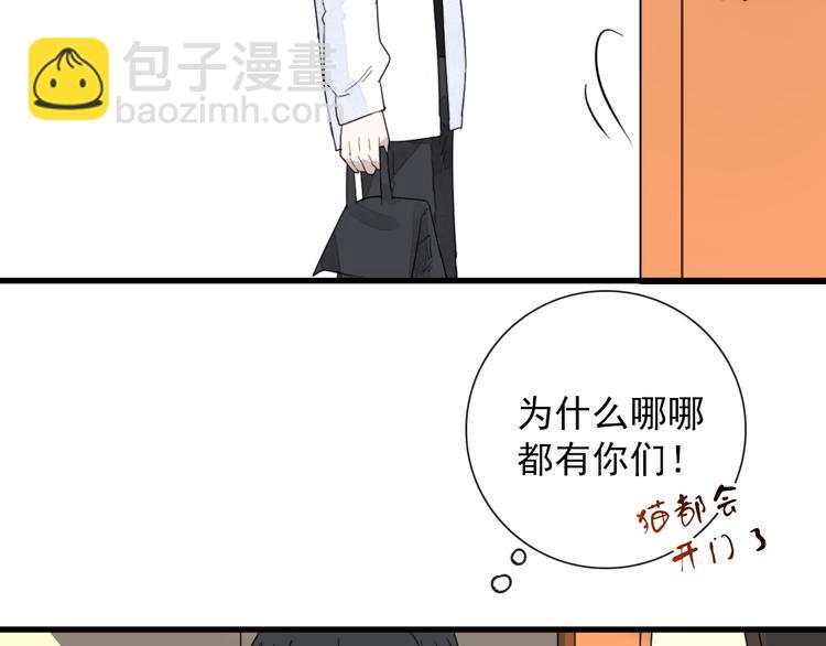 第4话  同性相吸就离谱(1/2)-第4话