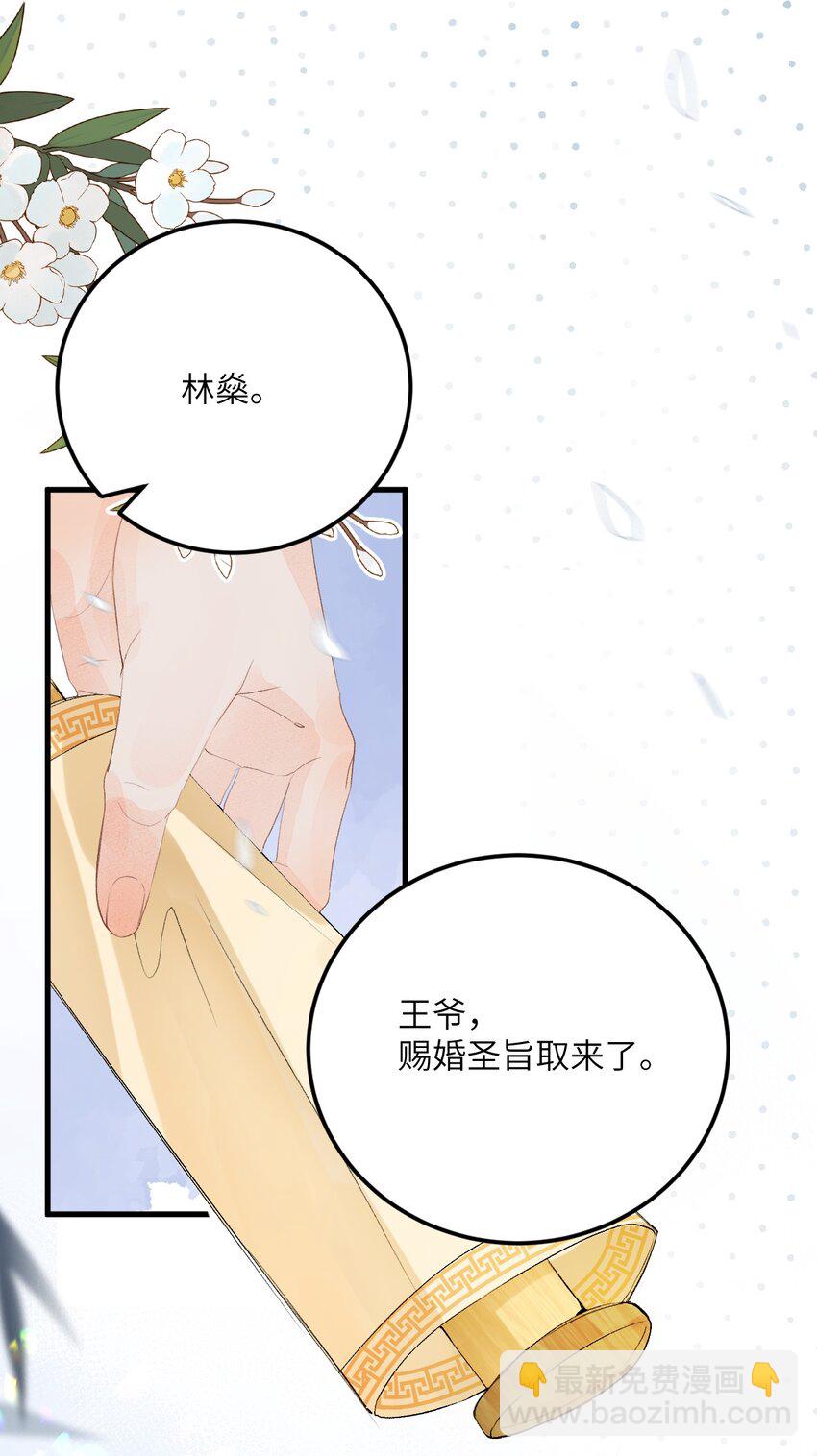 045 谁说他不是本王的王妃-第56话