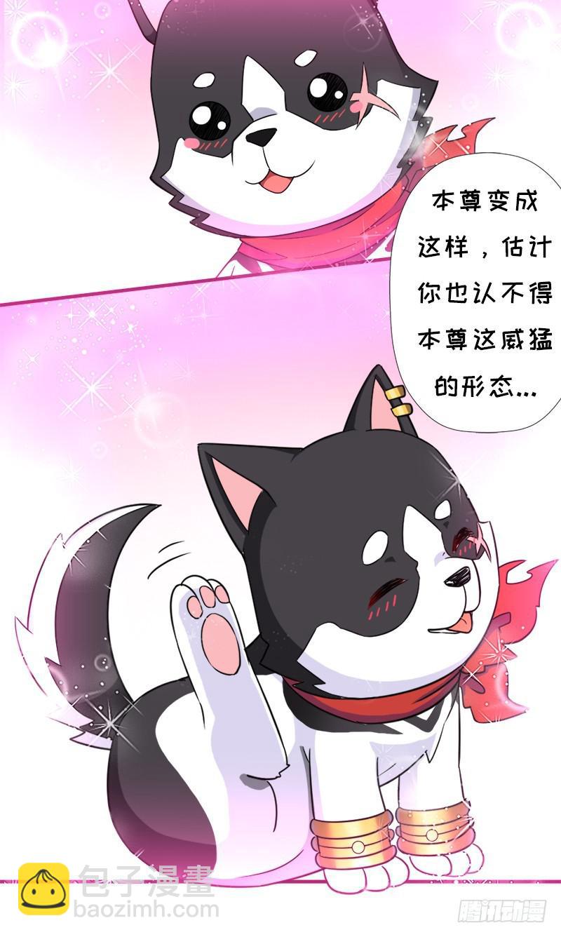 小黑的&ldquo;遗蜕&rdquo;(1/2)-第104话