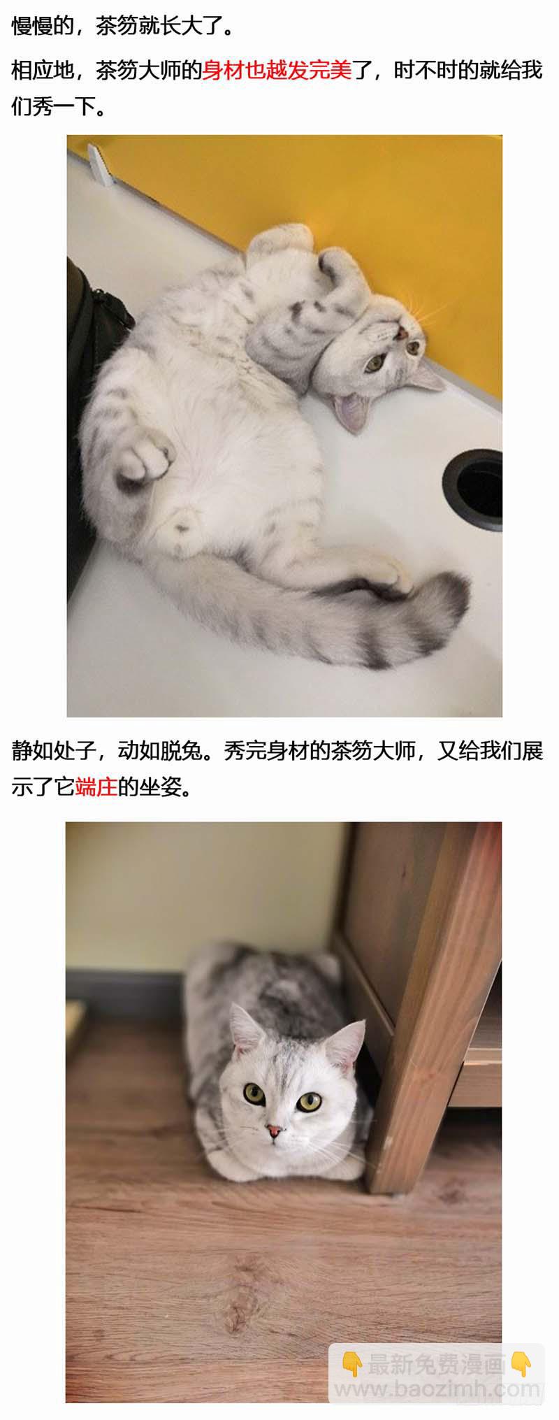 134 镜花天（中）-第136话