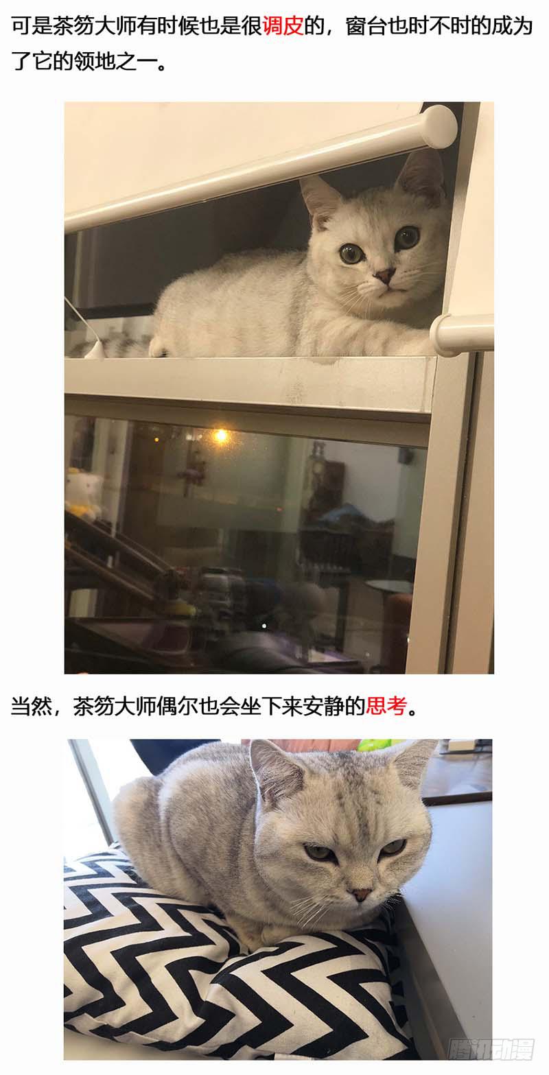 134 镜花天（中）-第136话