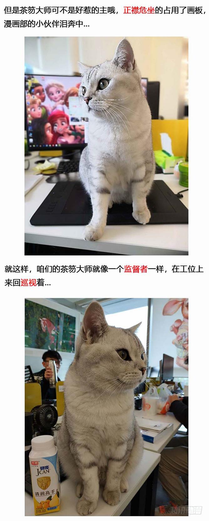 134 镜花天（中）-第136话