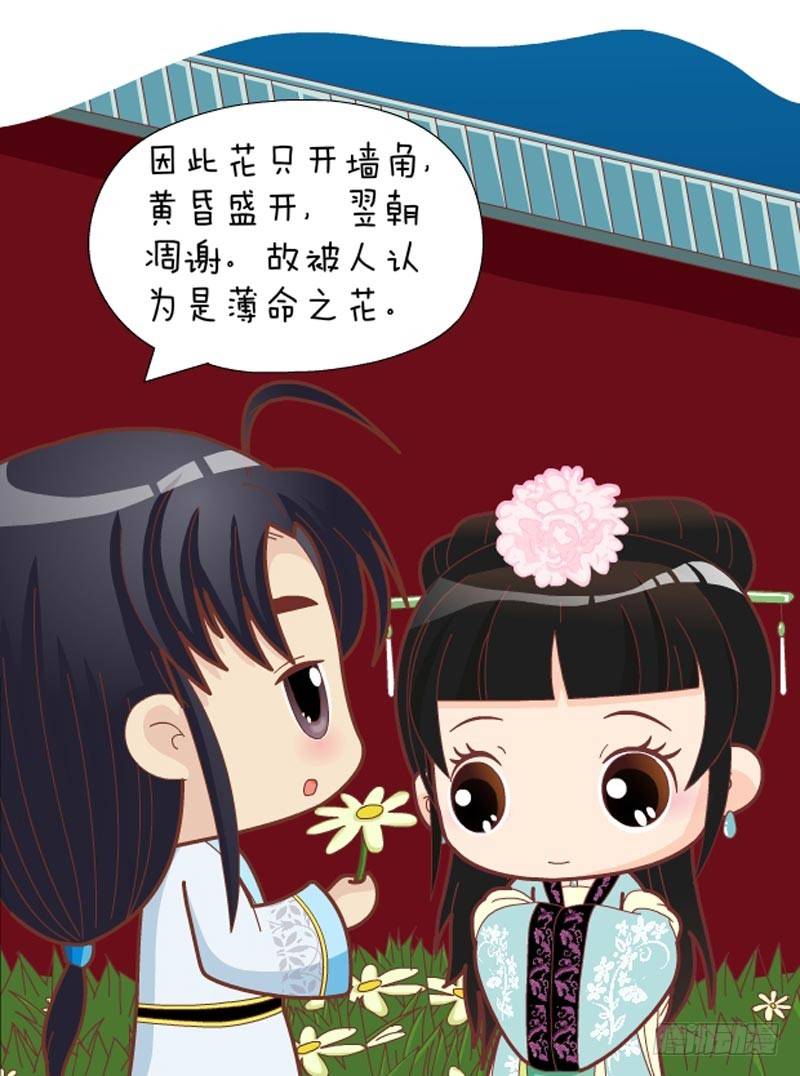 第32集（上）-第94话