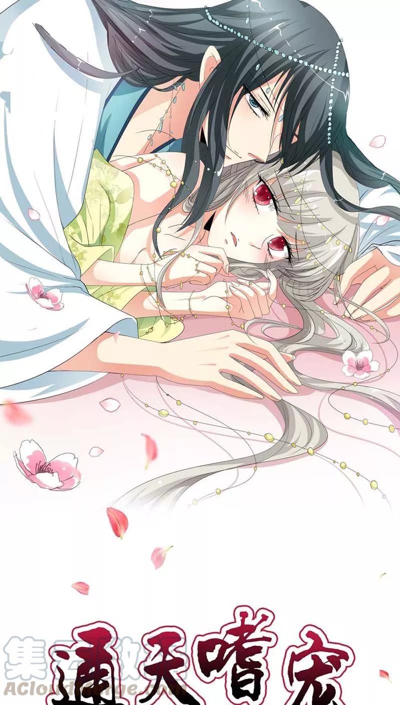 第3季10话 小蛮-第150话