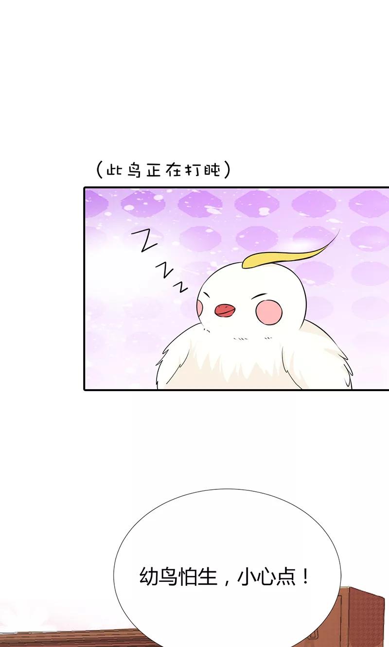 第3季56话 情缘树-第198话